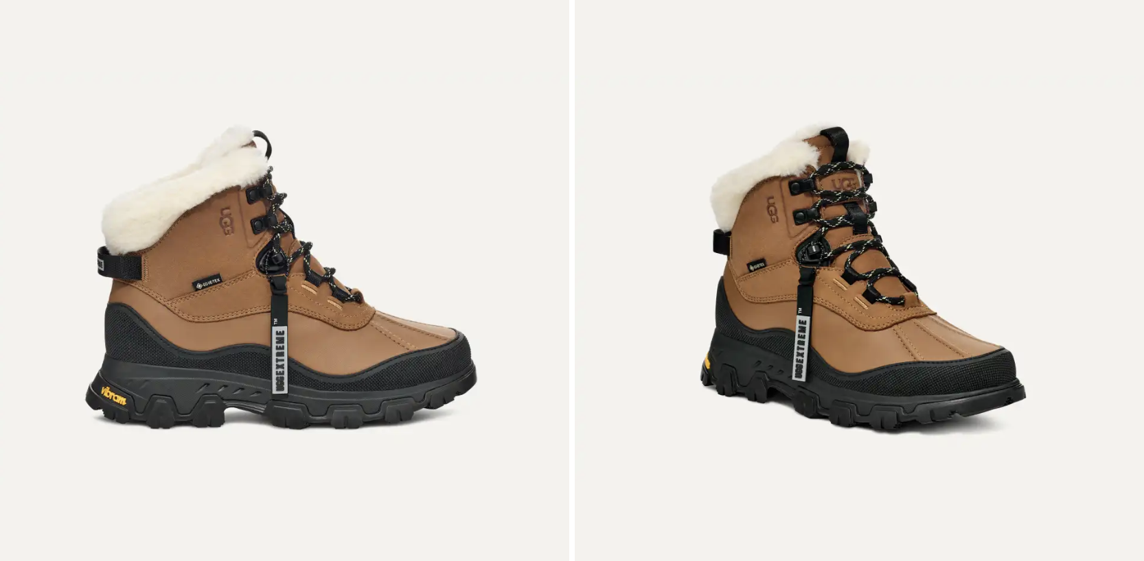 Adirondack Meridian Hiker